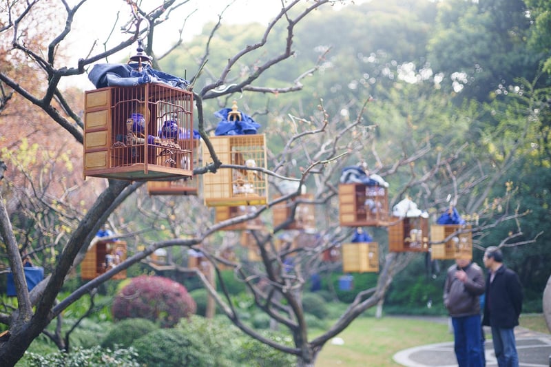 Birdcage Planter